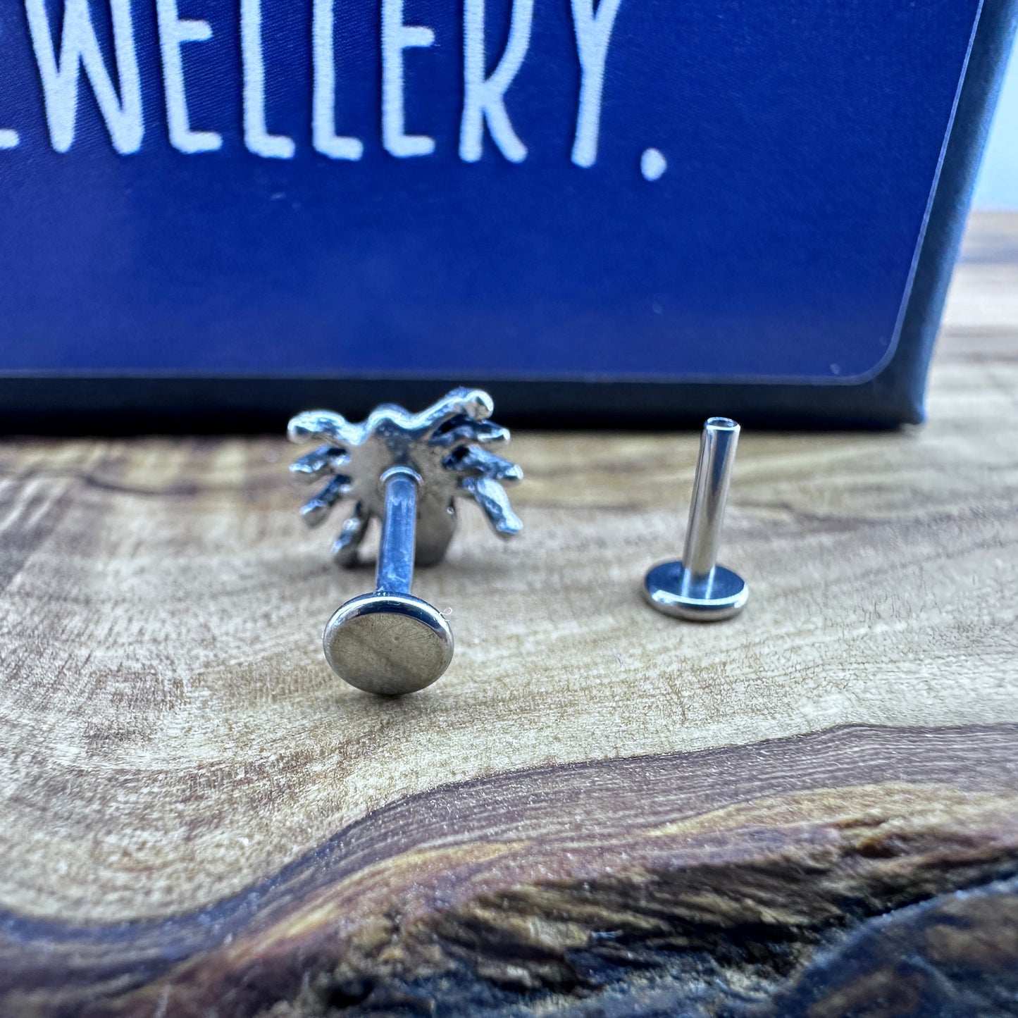 Spider Piercing - Helix Flat back Earring Piercing - Spider Surgical Steel Tragus Cartilage Threaded - screw back men women earrings, A486