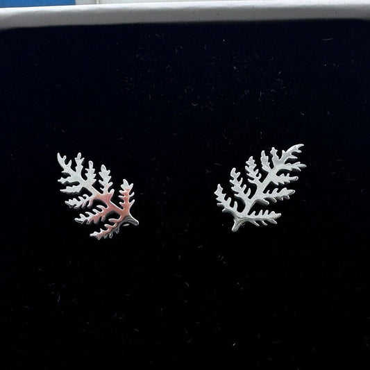 Women's Earrings - Silver Fern Stud Earrings, Minimalist, Gifts for Wife, Women's Stud Earrings, Studs for Women, Nature Earrings, A385