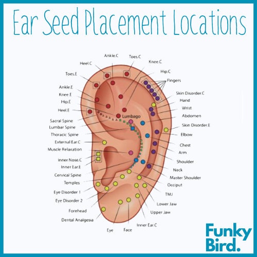 Ear Seeds, Acupressure Ear Seed Pack, Tiny Gold Ear Seeds for Pain Relief Chinese Medicine Migraine relief, back pain relief, neck pain